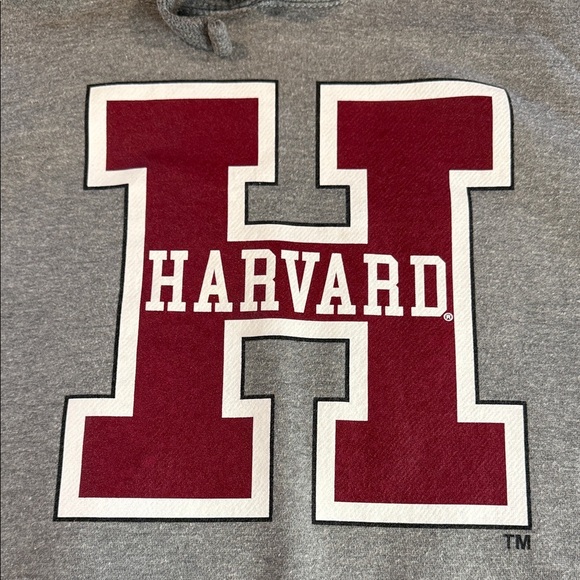 MillTex HARVARD University H&M Hoodie - Gray Pullover Sweatshirt - Sz L - Picture 2 of 10